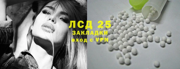 PSILOCYBIN Тайга