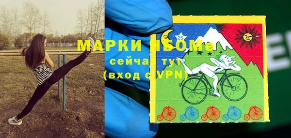 соль ск Балабаново