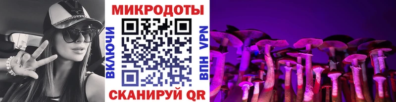 Псилоцибиновые грибы Psilocybine cubensis  мега онион  Видное 
